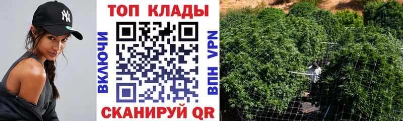 Наркошоп купить Метадон  Alpha-PVP  МЕФ  КОКАИН  ГАШ  Белый