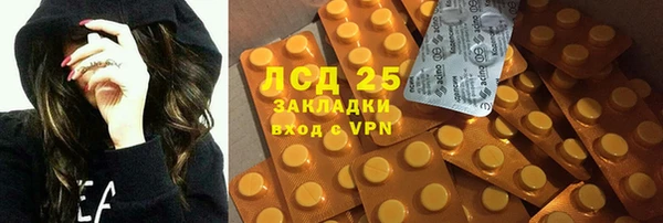 сатива Аркадак