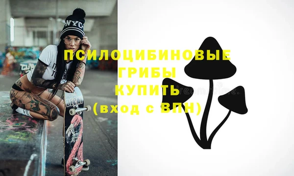 сатива Аркадак
