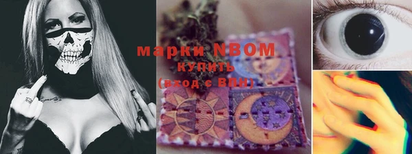 сатива Аркадак