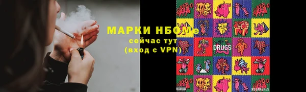 сатива Аркадак
