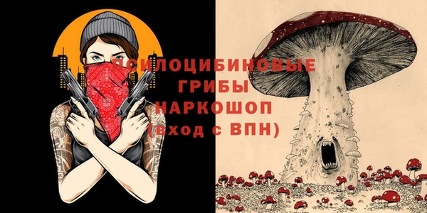 спайс Гатчина