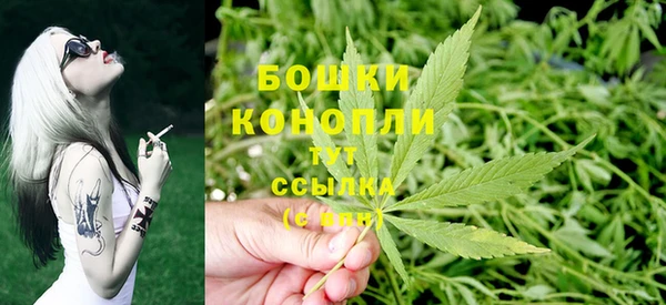 сатива Аркадак