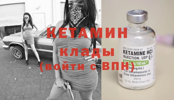 сатива Аркадак